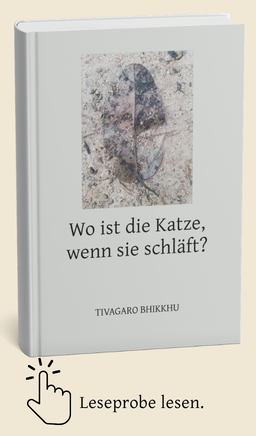 Wo ist die Katze, wenn sie schläft?